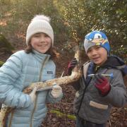 Siena Hatts Page, 9, with her brother Hugo, 7, with log.