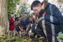 Schoolchildren to plant 440 crosses to remember Epsom's war dead
