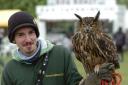 Stephen Langley and Kazooie, a European eagle owl, at the Morden Hall Park Country Show 2012
