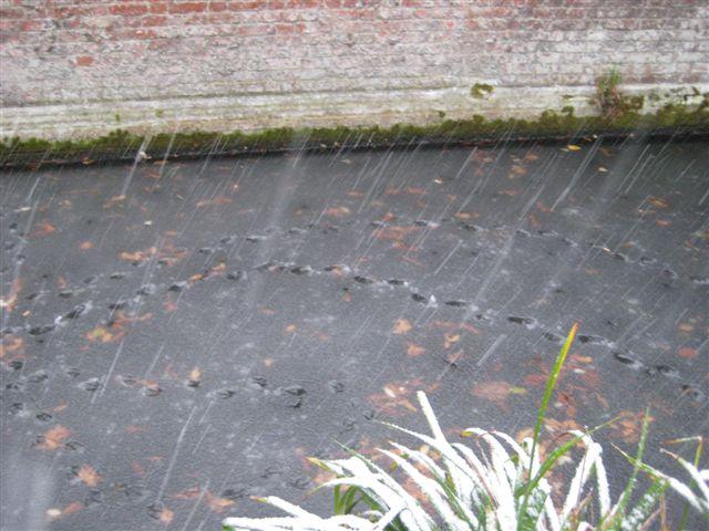 Frozen moat with duck footprints outside Bourne Hall in West Ewell. Submitted by Angela M
