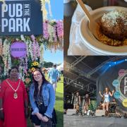 Pub in the Park festival review