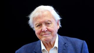 Mammals, a new BBC One series presented by Sir David Attenborough, begins this weekend