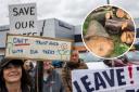 A protest was held last month to demand answers to the felling of eleven trees ( Credit: Paul Gapper )