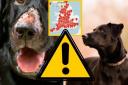 A map has shown the cases of Alabama Rot across the UK since its detection in 2012