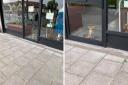 Baby fox spotted trapped in Wimbledon shop front