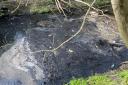 Oil is still pooling in the waterways around Pyl Brook and Beverley Brook (photo: Ruhee)