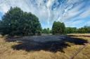 The fire ripped through the grass at Morden Hall Park (Credit: National Trust Images/Lucia Pedone)