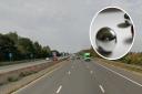 A 'projectile' that police think may have been a 'ball bearing type object' was allegedly fired at a vehicle on the M5 near Cullompton