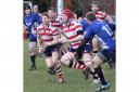 Watch out: Rosslyn Park lock Richard Boyle bursts through against the Macclesfield back line          All pictured: David Whittam