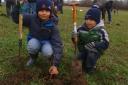 young children planting a tree