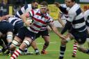 Happy again: Rosslyn Park Hugo Ellis in action in the win over Coventry on Saturday            All pictures: David Whittam