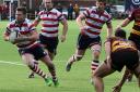 Going forward: Rosslyn Park's Matt Hawke goes on the attack in the weekend win over Ampthill                           Picture: David Whittam