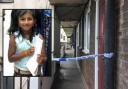 Sayagi was stabbed to death in her home last year ( Met Police)
