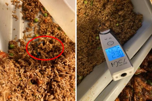 A blue plastic band was found in a tray of uncovered chicken fried rice, and it was uncovered at 23 degrees Celsius (photo: Lewisham Council food hygiene report)