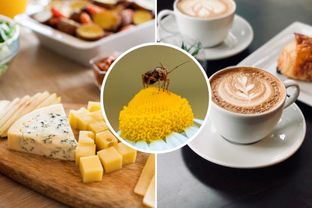 Hay Fever: The 5 food and drinks you need to cut out (Canva)