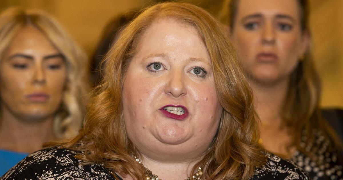 Alliance leader says O'Neill comments on violence during Troubles were 'wrong' - Vimarsana News