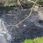 Oil is still pooling in the waterways around Pyl Brook and Beverley Brook (photo: Ruhee)
