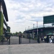 Wimbledon is back at full capacity for spectators this summer for the first time since 2019 (photo: Tara O'Connor)